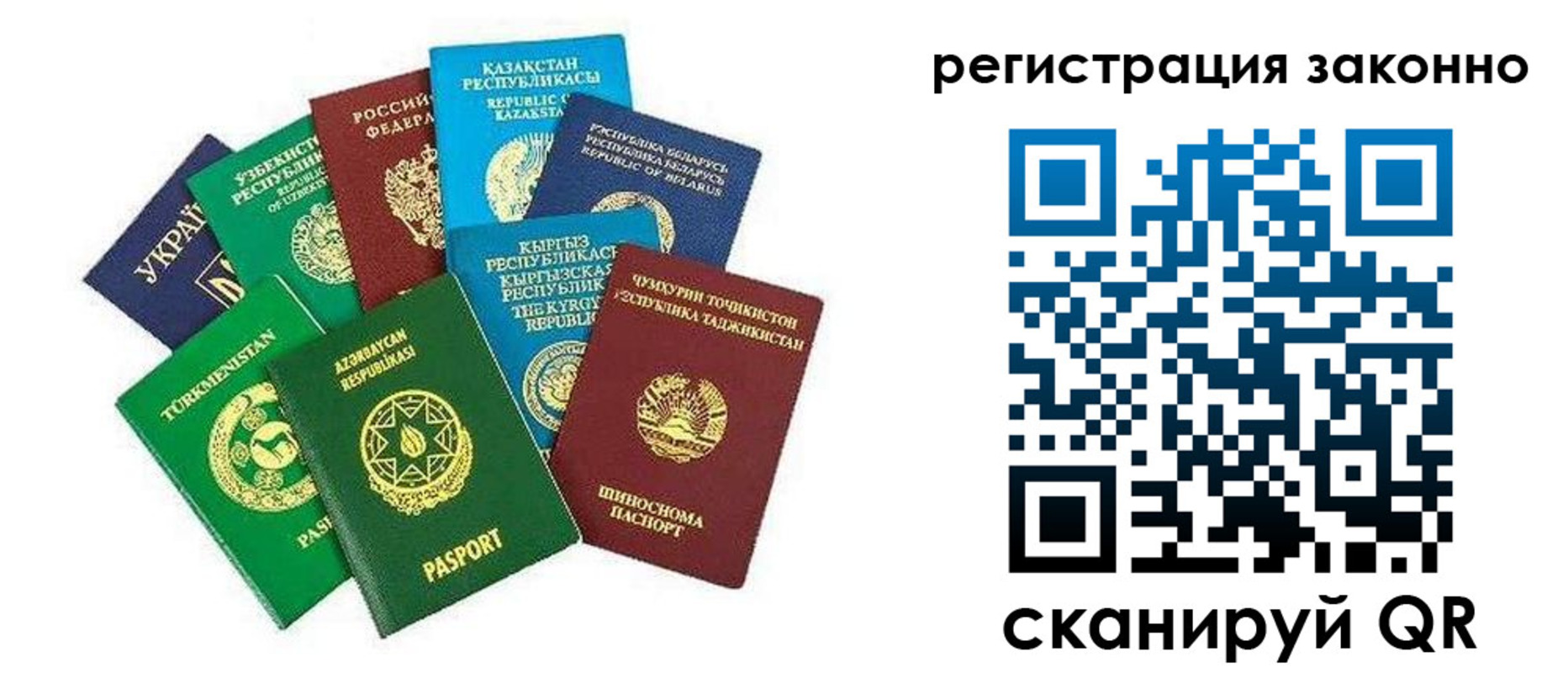 прописка 2025 в Михайлове